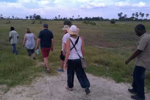 Excursión de un día en Mokoro por el Delta del Okavango