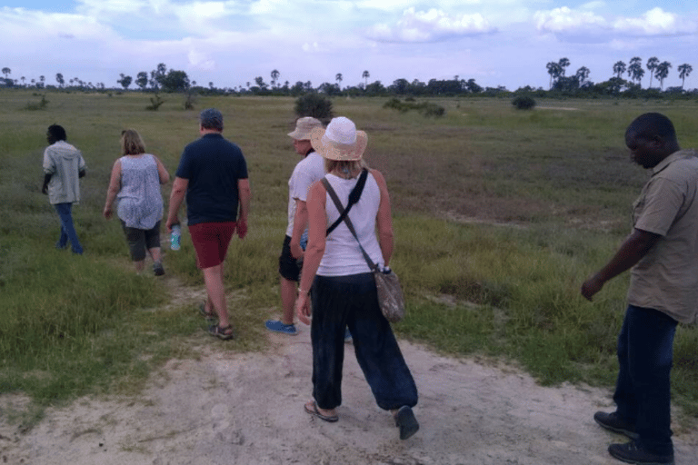 Excursión de un día en Mokoro por el Delta del Okavango