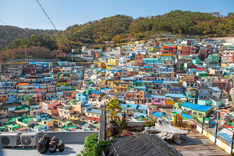 Busan Small Group Cruise Shore Excursion with Sky Capsule Private Cruise Shore Excursion (No Sky Capsule)