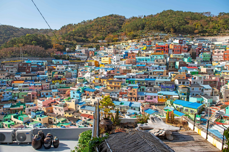 Busan Small Group Cruise Shore Excursion with Sky Capsule Private Cruise Shore Excursion (No Sky Capsule)