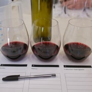 Hunter Valley: A Winemaker for the Day Experience