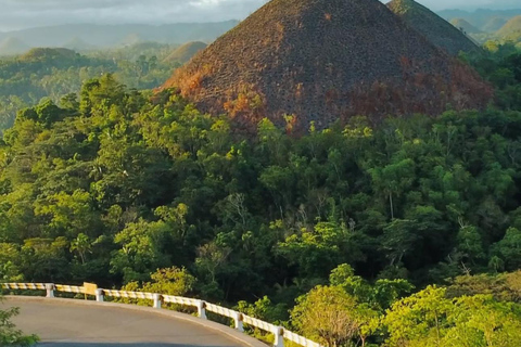 Cebu: Bohol Chocolate Hills Tour with Ferry Transfer One way Cebu to Bohol (No Return Ticket)