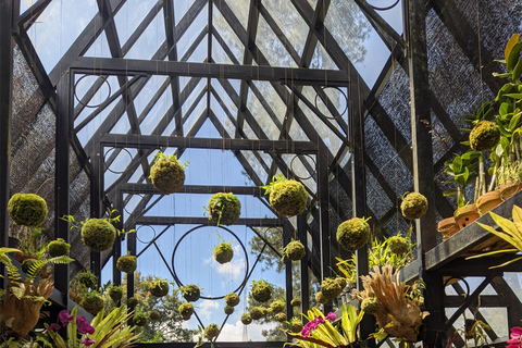 Bandung: Tour del vulcano Tangkuban Parahu e delle aree circostanti