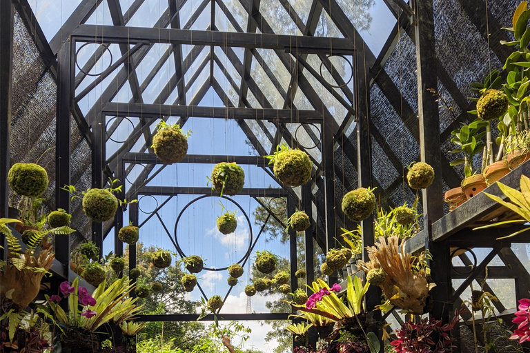 Bandung: Tour del vulcano Tangkuban Parahu e delle aree circostanti