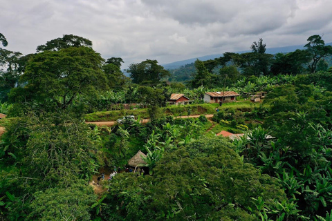 Moshi: Materuni Waterfall and Coffee Tour with Lunch