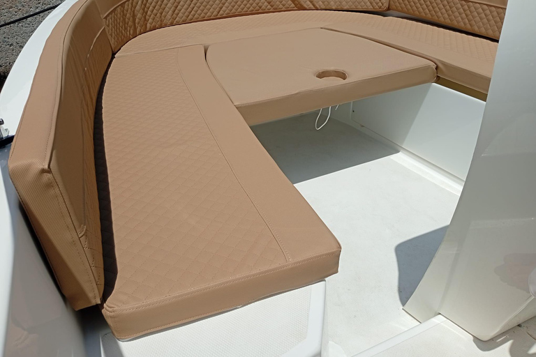 ماربيا: تأجير قوارب بدون ترخيص لمشاهدة الدلافينإيجار لمدة 30 دقيقة