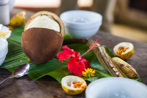 Itacaré: Maraú - 5-Day Silence and Purification Retreat