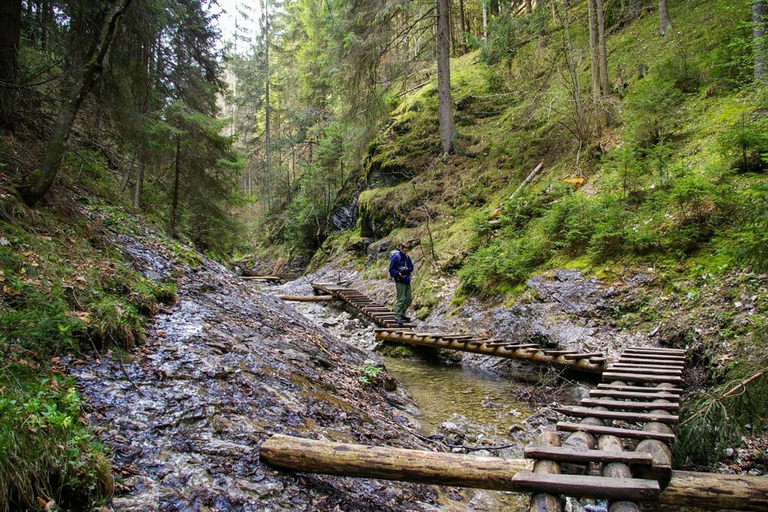 from Zakopane: Slovak Paradise National Park Guided Hike
