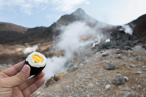 Tokyo: Mt. Fuji Tour, Hakone Ropeway, Owakudani, Lake Ashi Mt. Fuji Day Tour--Departure From Tokyo Station 8:00am
