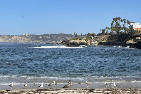 5 Hour Private Tour of San Diego in a Lexus ES300H