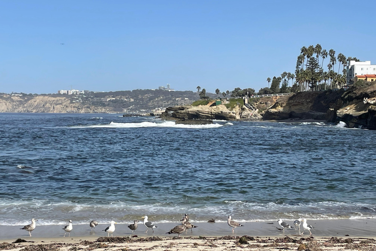 5-stündige private Tour durch San Diego in einem Lexus ES300H