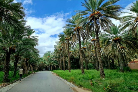 From Muscat: Jebel Akhdar Overnight Camping with Meals