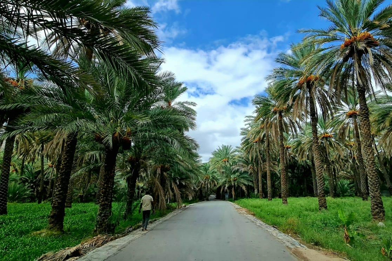 From Muscat: Jebel Akhdar Overnight Camping with Meals