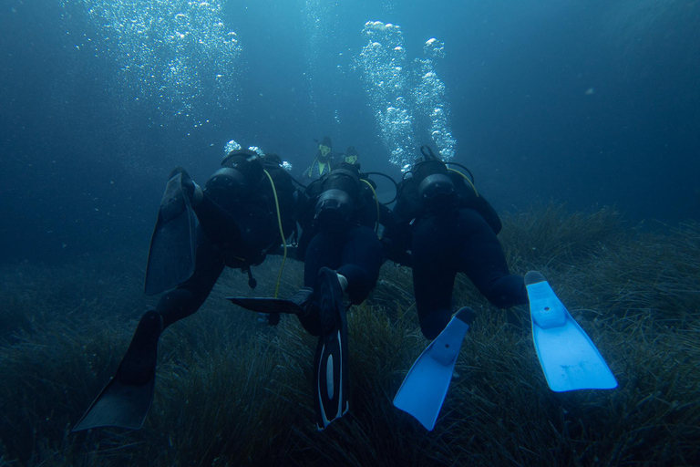 Corfu: Scuba Diving and Snorkeling from a Boat Let's go scuba diving!