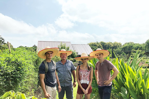 Expérience de cuisine thaïlandaise biologique à Chiang Mai