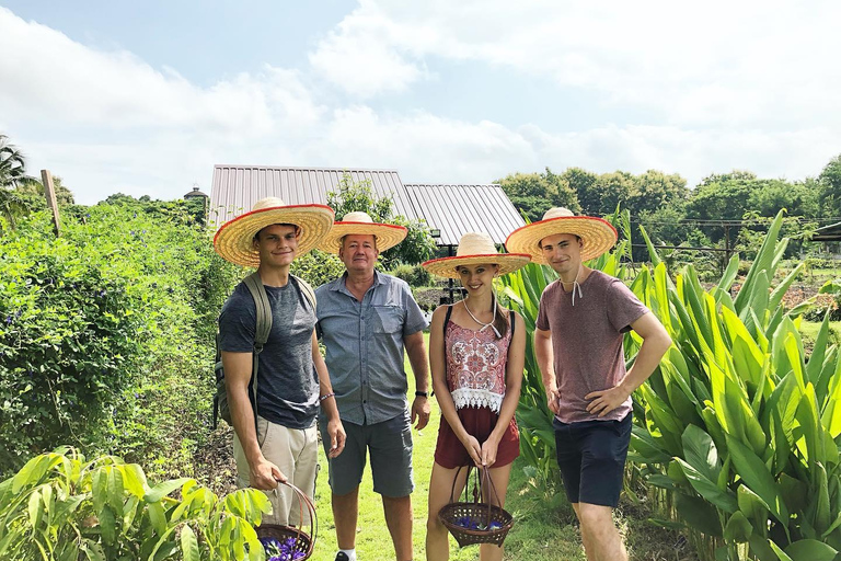 Experiência de culinária tailandesa orgânica em Chiang Mai