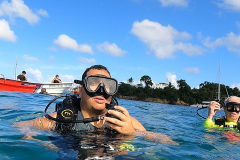 Scuba Diving in Puerto Plata Scuba Dive + Transport