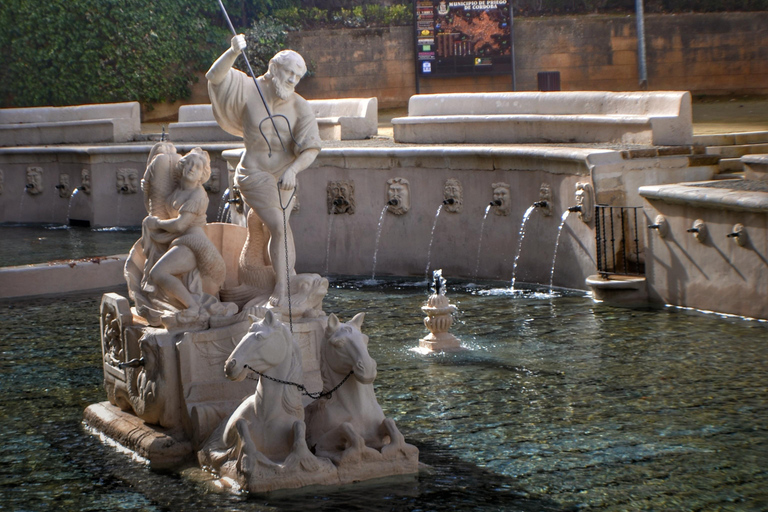 Desde Córdoba: Excursión privada de medio día a los Pueblos Blancos