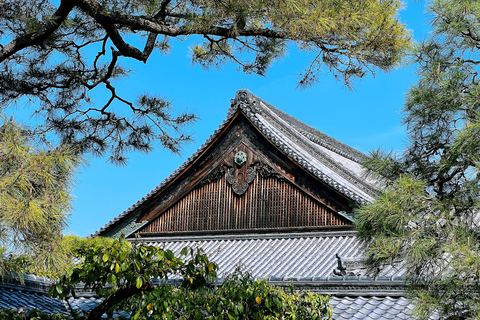 Kyoto: Nijo-jo Castle Samurai & Shogun Private In-Depth Tour Route 1: Essential In-Depth Experience (1 hour)