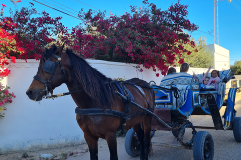 Djerba: Sunset Carriage Ride to Flamingo Island Djerba: Sunset Carriage Ride to Pink Flamingo Island