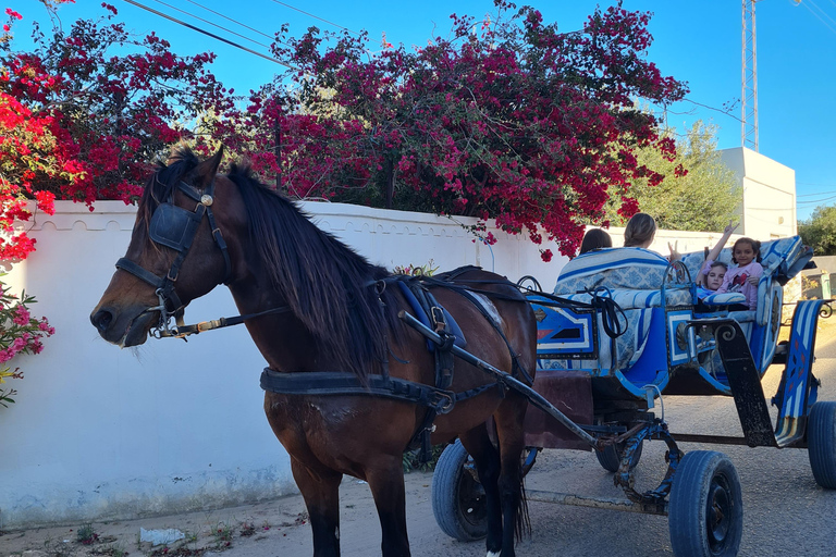 Djerba: Sunset Carriage Ride to Flamingo Island Djerba: Sunset Carriage Ride to Pink Flamingo Island