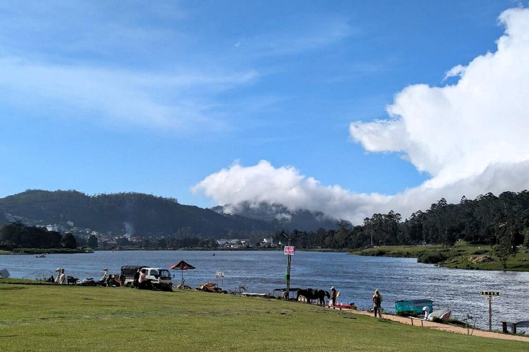 Kandy: Nuwara Eliya and Ambewela Train Station Tour