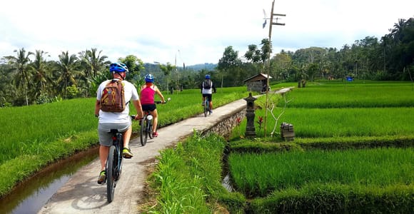 Ubud: Half-Day Tegallalang E-Bike Tour with Terrace Views