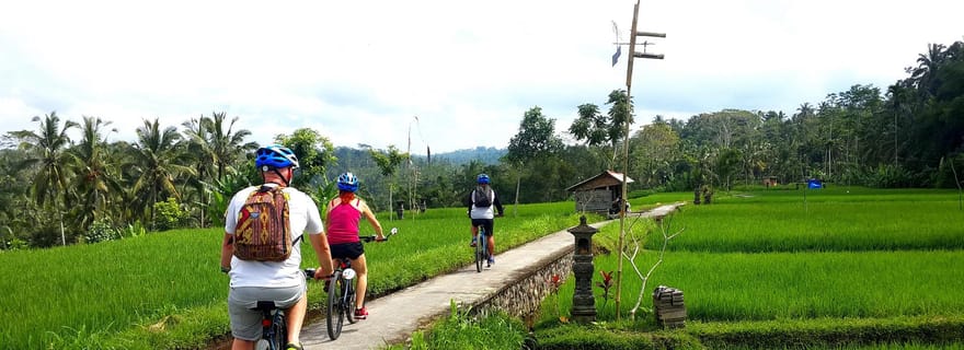 Ubud : visite d'une demi-journée à vélo électrique à Tegallalang