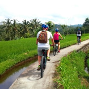 Ubud: Half-Day Tegallalang Electric Cycling Tour