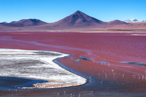 Jedna droga do Salar de Uyuni i kolorowych lagun