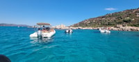D'Olbia, tournée à Tavolara avec déjeuner, plages et apéritif - Housity