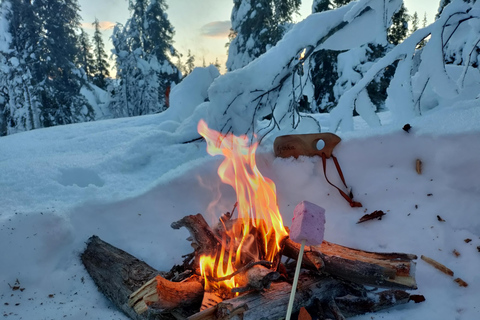 Levi: Caminhada na neve e churrasco com marshmallow na neve