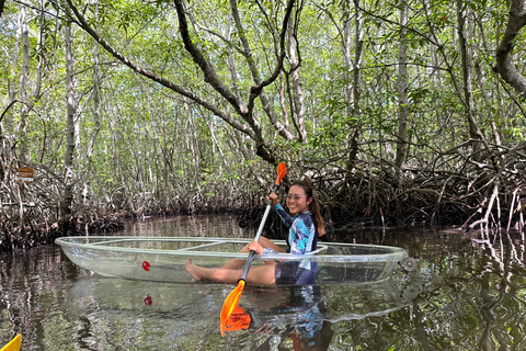 From Lembongan: Explore Mangrove with Kayak/Paddleboard/Boat Discover Mangrove Forest Tour by Paddle Board