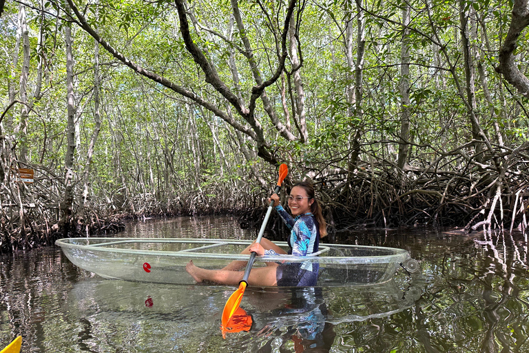 From Lembongan: Explore Mangrove with Kayak/Paddleboard/Boat Discover Mangrove Forest Tour by Paddle Board