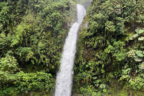 Laguna del Hule Guided tour Laguna del Hule Travel and Walk