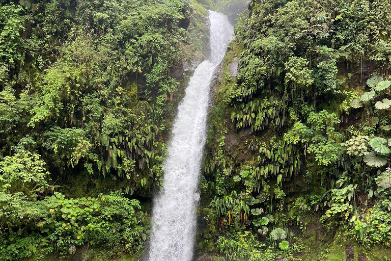 Laguna del Hule Guided tour Laguna del Hule Travel and Walk