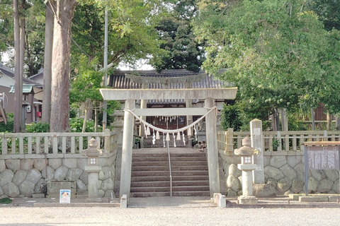 مي: العودة بالزمن إلى الوراء في جولة إرشادية عبر سيكي-جوكو