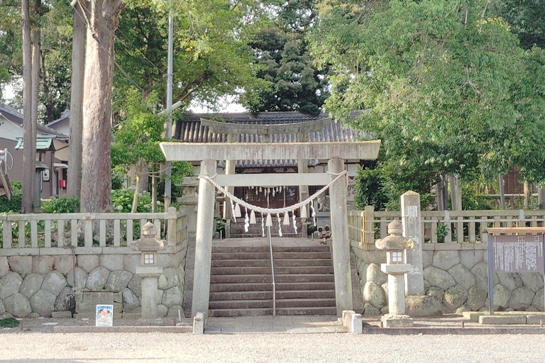 مي: العودة بالزمن إلى الوراء في جولة إرشادية عبر سيكي-جوكو