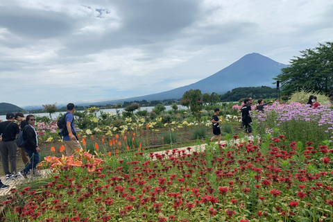 From Tokyo: Mount Fuji Sightseeing Private Group TourToyota Hiace for Up to 9 Persons Private Group Tour