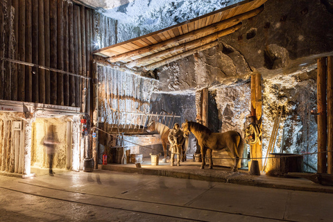 From Krakow: Half-Day Salt Mine and Schindler's Factory Tour From Old Town: %%OFF English Guided Tour with Meeting Point