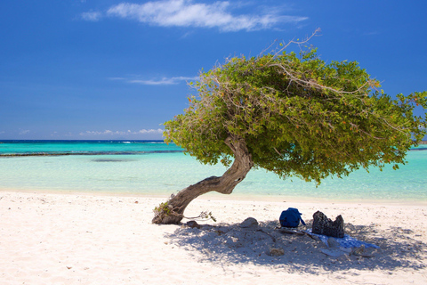 Aruba: AUA Airport Private Transfer to/from City Center Arrival: AUA Airport to hotel in Aruba city center