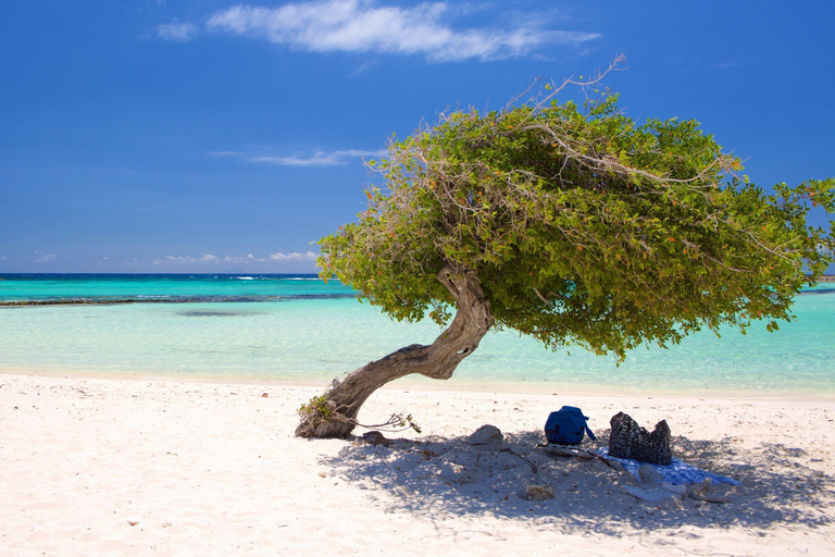 Aruba: AUA Airport Private Transfer to/from City Center Arrival: AUA Airport to hotel in Aruba city center