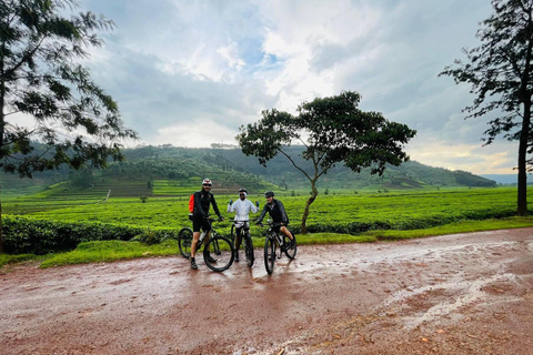 Rwanda: Volcanoes and Mountain Bike Adventure