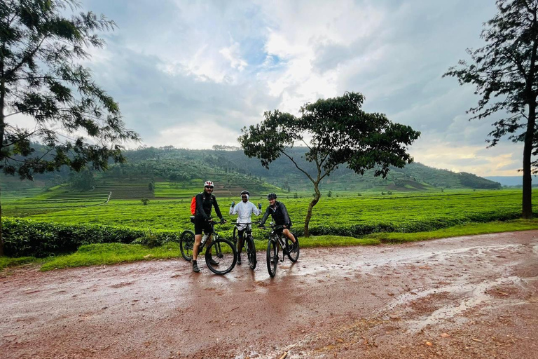 Rwanda: Volcanoes and Mountain Bike Adventure