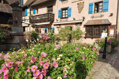 Visite d'une jounée Safari Villages et vignobles Dégustation de vinSafari Tour Villages et vignobles : Journée complète et dégustation de vins