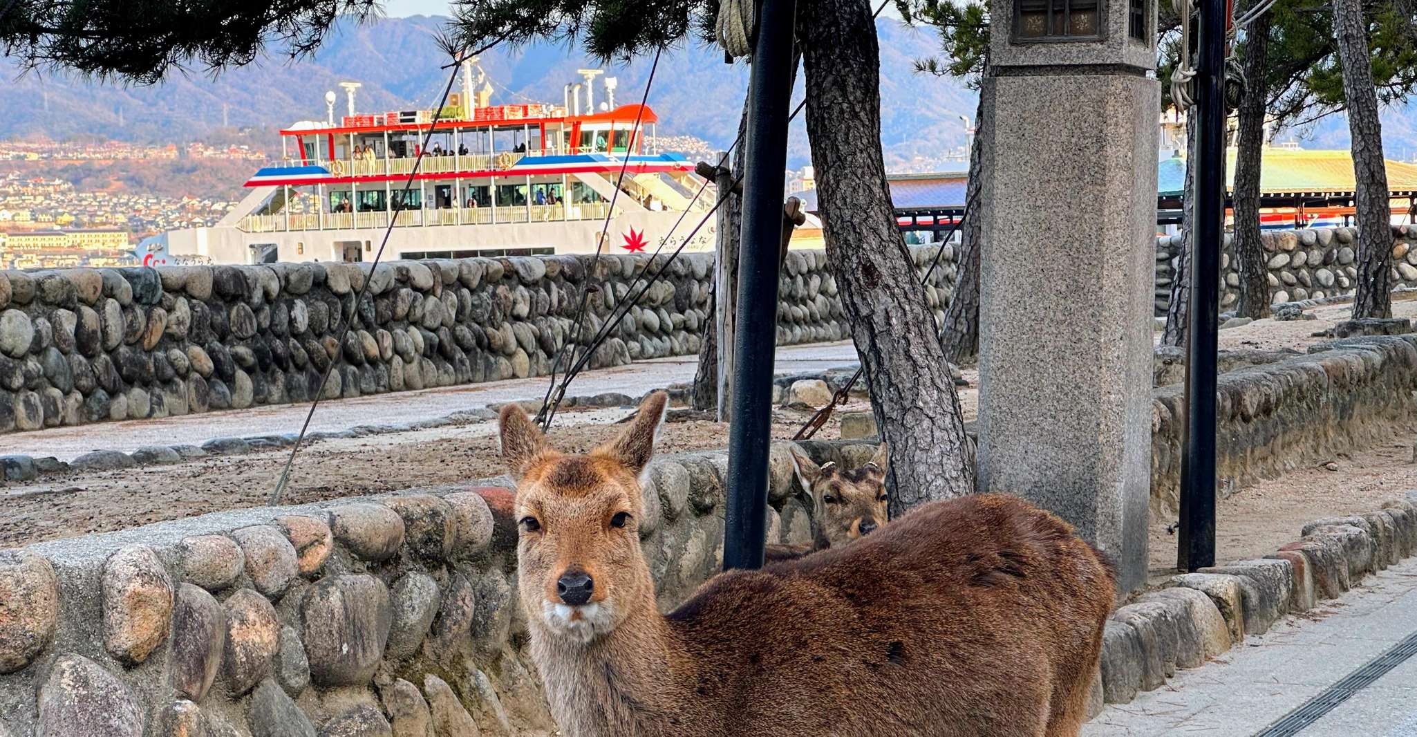 Hiroshima: Hiroshima and Miyajima UNESCO Sites 1-Day Tour photo 9