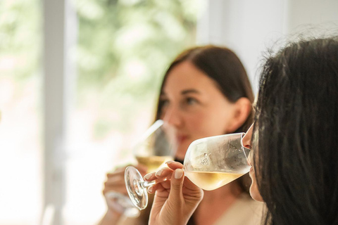 Nice : Cours de dégustation de vin en centre-ville