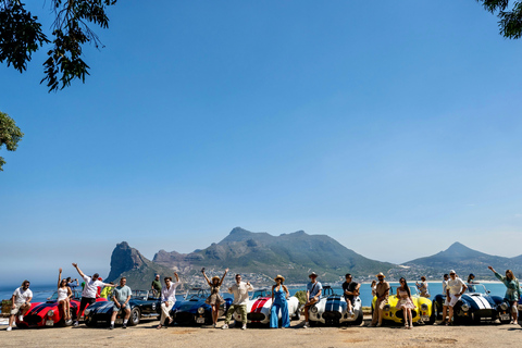 Cape Town: Full Day Cobra Driving Experience (Rental) Ride with Chauffeur