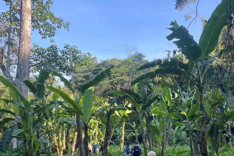 Från Chiang Mai: Vandringstur till Doi Saket med lunch