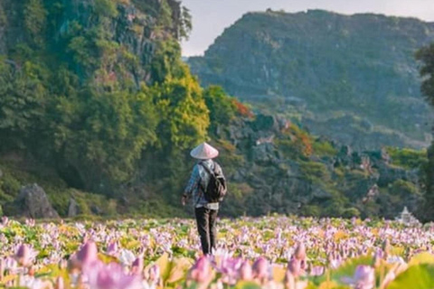 Tour di un giorno con la barca di Trang An, la Pagoda di Bai Dinh e la Grotta di Mua